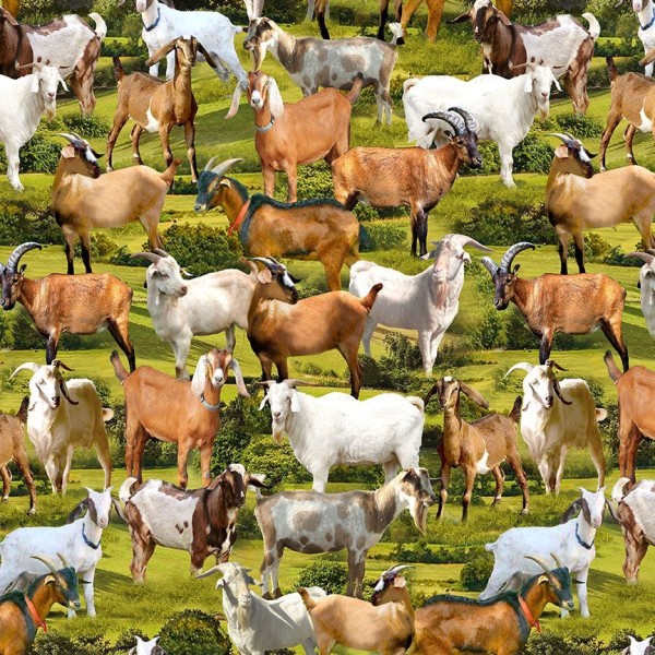 Ziegen Tiermotive Stoff Farm Goats Digitaldruck