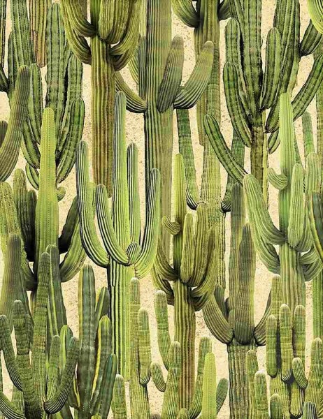 Rest 104cm Kaktus Blumen Stoff Saguaro Cactus