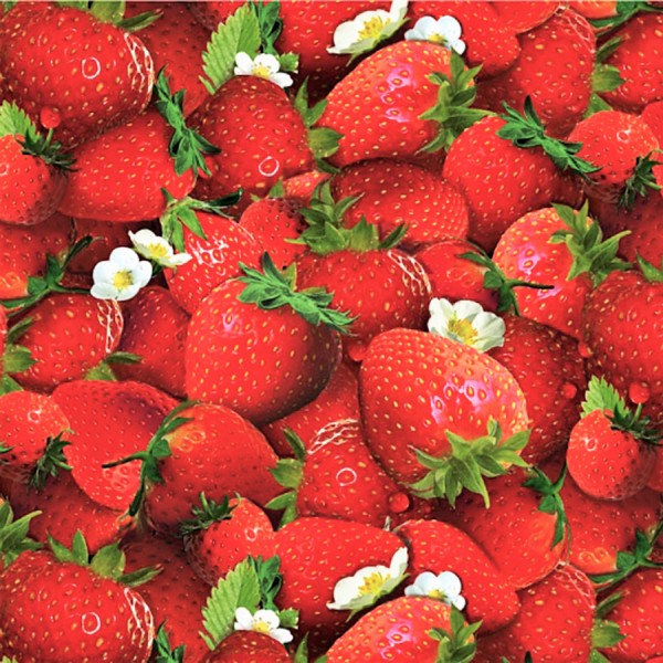 Erdbeeren Stoff Red Strawberries