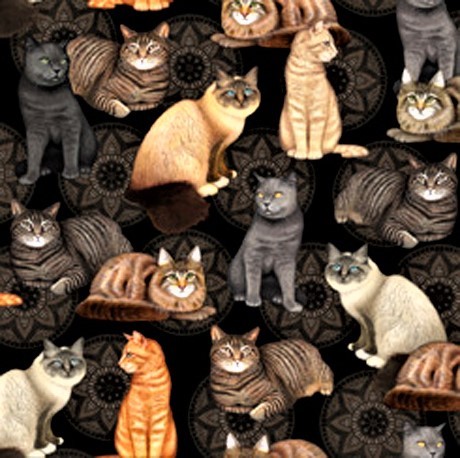 Katzen Stoff Medallion Schwarz Felicity Cats