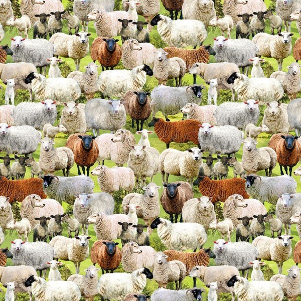 Schafe Tiermotive Stoff Farm Sheeps Digitaldruck