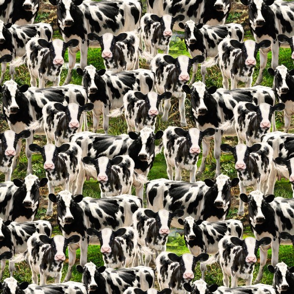 Kuh Stoff Multi Cows