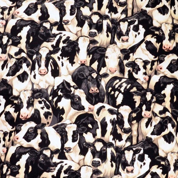 Kühe Stoff Crowded Cows