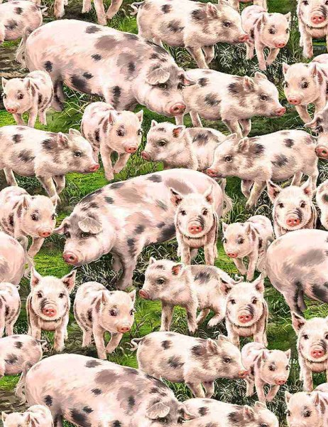 Schweine Stoff Packed Pigs