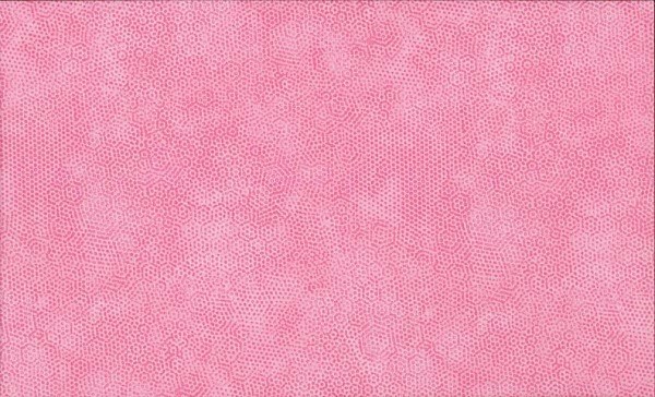 Dimples E6 Rosa Carnation