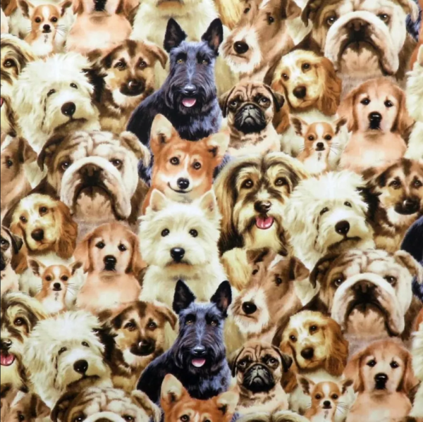 Hunde Stoff Multi Packed Puppies Petporri