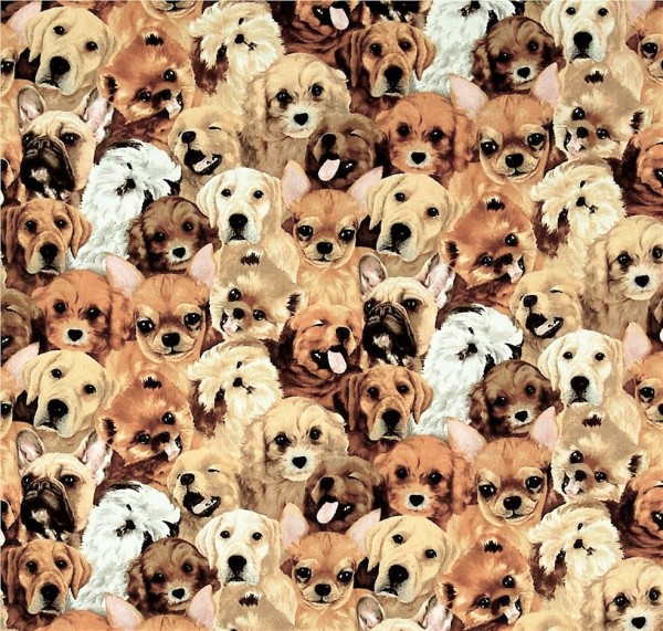 Hunde Welpen Stoff Pet Familiy Dogs