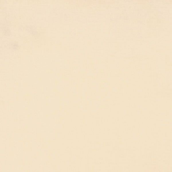 Cotton Supreme Uni Beige