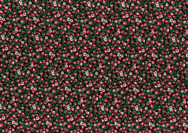 Erdbeeren Stoff Bouquet Collection Schwarz
