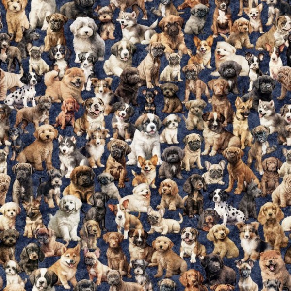 Hunde Welpen Stoff Pack of Puppies Blau