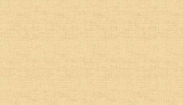 Linen Texture Straw Beige Q3