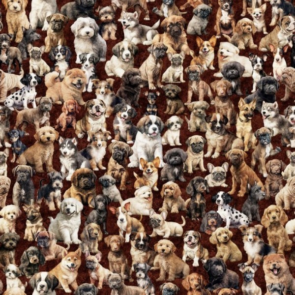 Hunde Welpen Stoff Pack of Puppies Braun