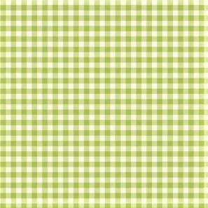 Karo Stoff Kiwi Grün Big Gingham Green