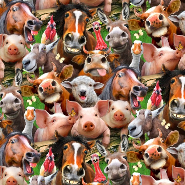Lustige Tiere Farm Animals Selfies