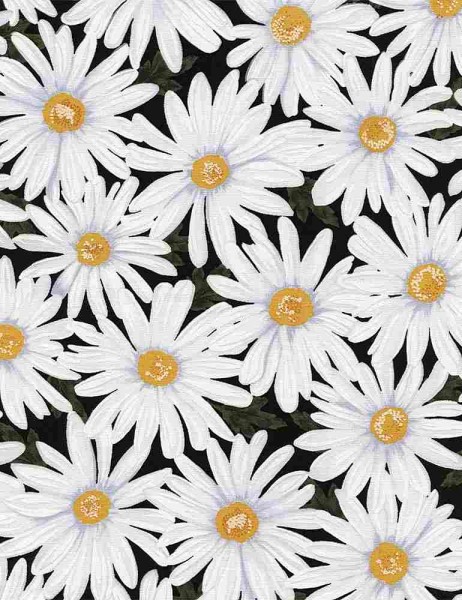 Blumen Stoff Daisies